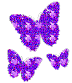 butterflies561